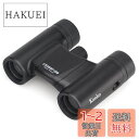 Kenko 双眼鏡 コンサート用 Classi-air クラッシーエアー 10×21DH ダハプリズム式 10倍 21口径 超軽量コンパクト マルチコーティング マットブラック 021415