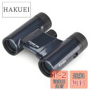 Kenko 双眼鏡 コンサート用 Classi-air クラッシーエアー 8×21DH ダハプリズム式 8倍 21口径 超軽量コンパクト マルチコーティング ディープグレー 021361