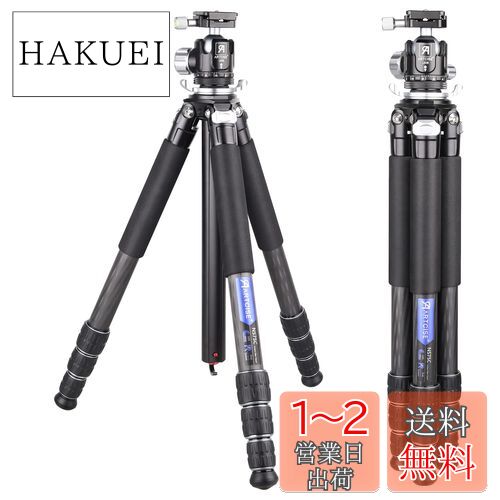 ܥ󻰵 ARTCISE 10إܥեС ̥ȥ٥뻰 1650mm 2023ǯ ǥ 29mmѥ׷ ...