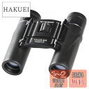 【送料無料】ケンコー(Kenko) コンパクト双眼鏡 V-TEX 12×25 DH 12倍 25口径 ダハプリズム式 コンサート用 軽量249g 2軸式 VT-1225D