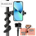 Taisioner フレキシブルアーム gopro用マウント アクセサリー スマホホルダーク アクションカメラ携帯用 曲げる柔らかい自撮り棒 折りたたみ 360度回転 自由調節 iPhone Gopro hero10/9/8/7/6/5/4 DJI insta360 X3 X2 AKASOに対応(Gopro phone adapter付き)