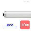 パナソニック 蛍光灯 FLR110HD/A100RF3 昼光色 1ケース 10本 外面シリコン方式 直管蛍光灯 【代引き不可】