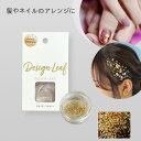 【テレビ東京「モーニングサテライト」で紹介】【デザインリーフ/ヘアアレンジ・ネイル用】DESIGN LEAF ゴールドパウダーごグ ネイル用品 ハロウィン クリスマス