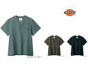 XNu fBbL[Y 7090SC Dickies jp Ô u|Xgv s