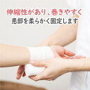 hakujujiofficialshop:10000252のサンプル画像3