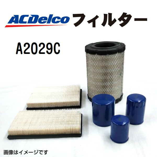 ACDELCO(ACfR) GAtB^[ (GAGgEGA[N[i[) A2029C