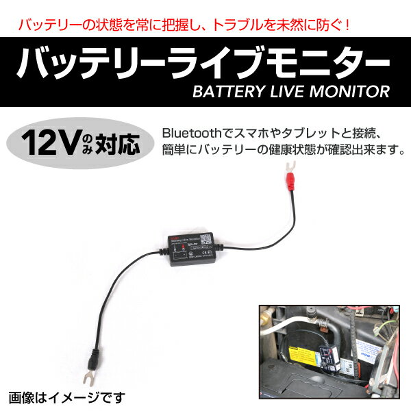 BLM1 バッテリー の状態を常に把握し、トラブルを事前に防ぐ バッテリーライブモニター 日本向け仕様