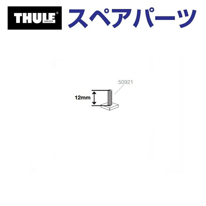 11月20日20時〜P5倍 THULE(スーリー) カーキャリア スペアパーツ Tボルト TH1500050921