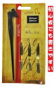 スピードボール オブリークセット ペン先6個(6種サイズ)とオブリークエルボータイプペン軸 Speed Ball Art Oblique Dip Pen カリグラフィー レタリング セット