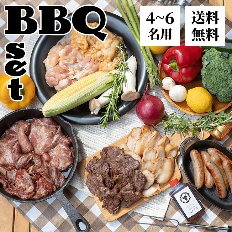 白李 BBQセット 牛肉 4〜6名用 1kg バーベキュー バーベキューセット BBQセット bbq 厚切り牛タン 厚切りタン 牛ハラミ 黒毛和牛カルビ 長州地鶏もも 上ホルモン 豚トロ ウィンナー 精肉 お取り寄せ グルメ 花見 キャンプ 送料無料 入学 父の日