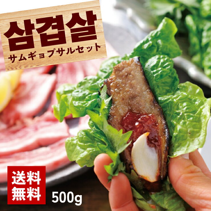 サムギョプサル サムギョプサルセット 三枚肉 豚肉 500g 韓国料理 韓国グルメ 豚バラ 2~3人前 グルメ ..