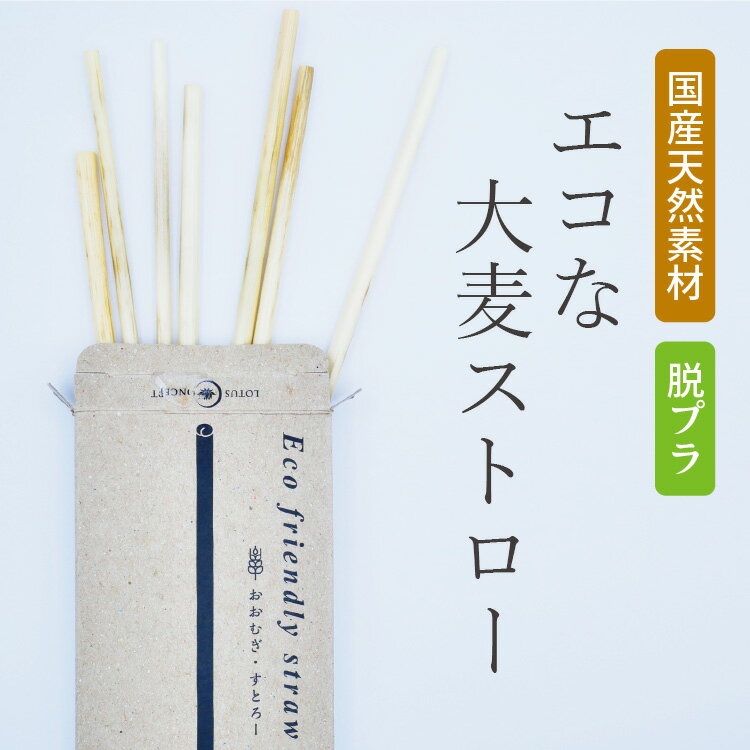 大麦で作った エコストロー (24本入) 脱プラスチックでエコロジーな商品　石川県の国産大麦使用 SDGs ストレートストロー マイストロー 紙 環境保護 福祉 ギフト プレゼント 業務用 環境に優しい 地球に優しい エコストロー 【メール便】