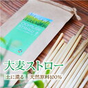 3個購入クーポン有★ エコ 大麦ストロー 24本 脱プラスチック 麦わら 自然素材 100% 国産 麦 で作った 環境に優しい エコストロー 藁ストロー 麦ストロー ストロー エシカル 送料無料