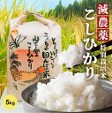 【 2023年 新米 減農薬米 コシヒカリ 】こしひかり 5kg 5キロ R5年 令和5年 ＜ 玄米 白米 5分づき 8分づき 選べる精米 ＞ 送料無料 有機肥料 石川県産 国産 分づき米 お米 米 特別栽培米 減農薬