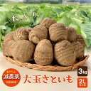 減農薬 大玉 里芋 ＜ 2L × 3kg ＞ ねっとりモチモチ食感がやみつき！ 特別栽培 さといも サトイモ 縄文のさといも 【農家から 産地直送 】 秋田 山形 の名物 芋煮 コロッケ おせち 送料無料