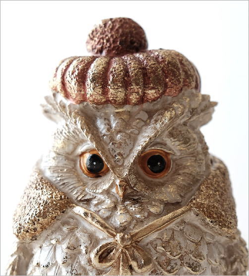 �դ����� ��ʪ ���֥��� ���� ���襤�� ������� ����ƥ����� ��ȥ� �ե������Υ��֥��� ��������