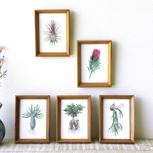 アートパネル おしゃれ ポストカード アートフレーム ピクチャーフレーム グリーン 植物 ウォールアー..