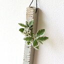 壁掛け花瓶 花器 陶器 一輪挿し 信楽焼き 日本製 角柱掛花入れ 面取り白 花瓶 和風モダン インテリア ベース 花入れ 陶器 一輪挿し 花器 フラワーベース ...