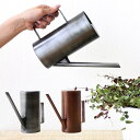水差し 観葉植物 じょうろ おしゃれ ピッチャー アンティーク 800ml 細い レトロ モダン シンプル キッチン 鉢植え 多肉植物 ジョーロ スタイリッシュ...