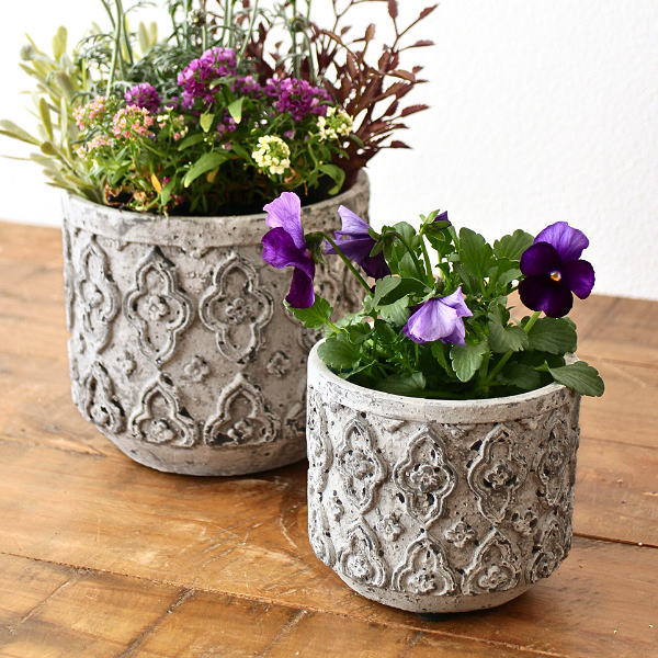 植木鉢 プランター セメント アンティーク シャビー 5号 4号 相当 φ15.5cm φ11.5cm 寄せ植え グリーン ..