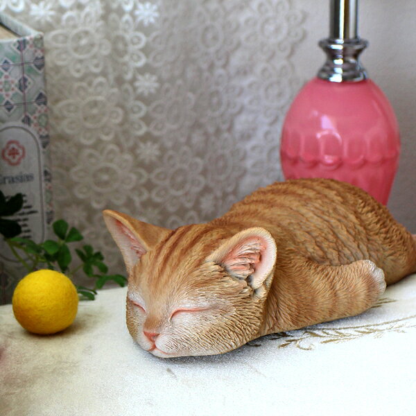 楽天市場】道楽堂猫本舗の通販