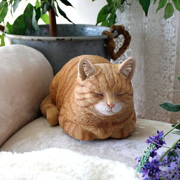 楽天市場】香箱ねこ 茶トラの通販