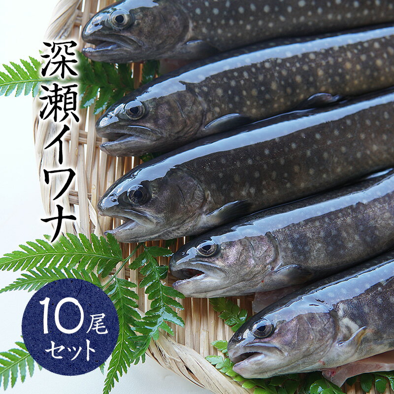 【産地直送】冷凍川魚 岩魚 イワナ 10尾セット 串なしタイプ 石川県産 加賀白山 淡水養魚場「白山堂」【岩魚/いわな/川魚/養殖/冷凍/下処理済/個包装/串なし】【のし（熨斗）対応可】【贈り物ギフト】