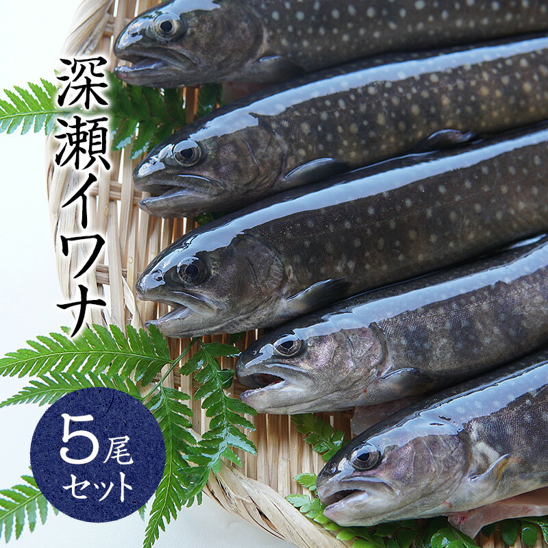 【産地直送】冷凍川魚 岩魚 イワナ 5尾セット 石川産 加賀白山 淡水養魚場「白山堂」【岩魚/いわな/川魚/養殖/冷凍/下処理済/個包装/串なし】【のし（熨斗）対応可】【贈り物ギフト】