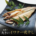 イワナ 一夜干し 干物 父の日 ギフト セット 5尾 岩魚 ...