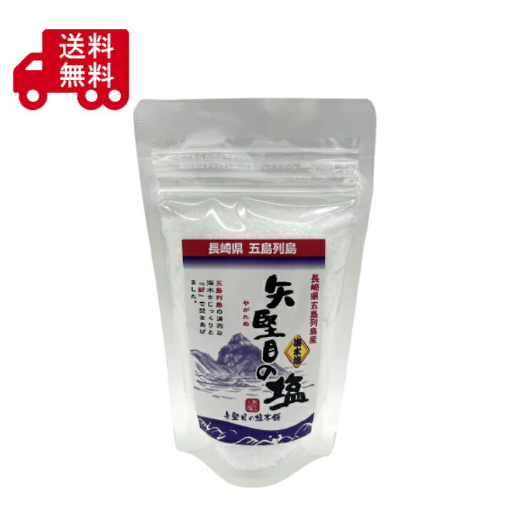 矢堅目の塩　100g　やがためのしお　食塩　調味料