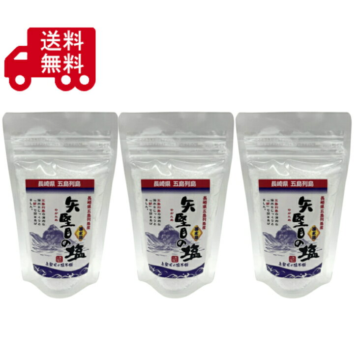 Salts - 矢堅目の塩　100g×3袋セット　やがためのしお　食塩　調味料