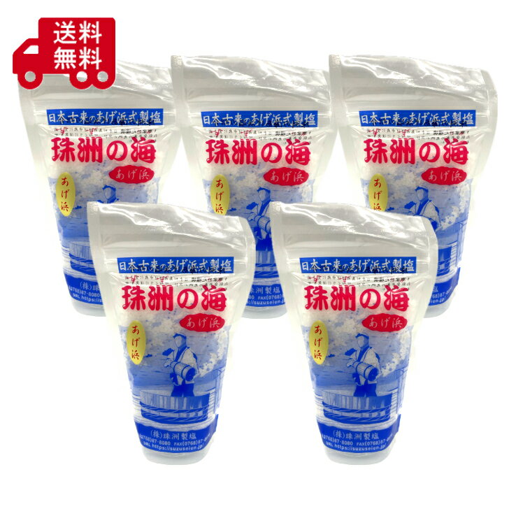 Rakuten - 珠洲の塩 あげ浜 100g×5袋 天然塩 海塩 国産塩 能登 珠洲 揚げ浜式製塩 ミネラル塩 ミネラル豊富