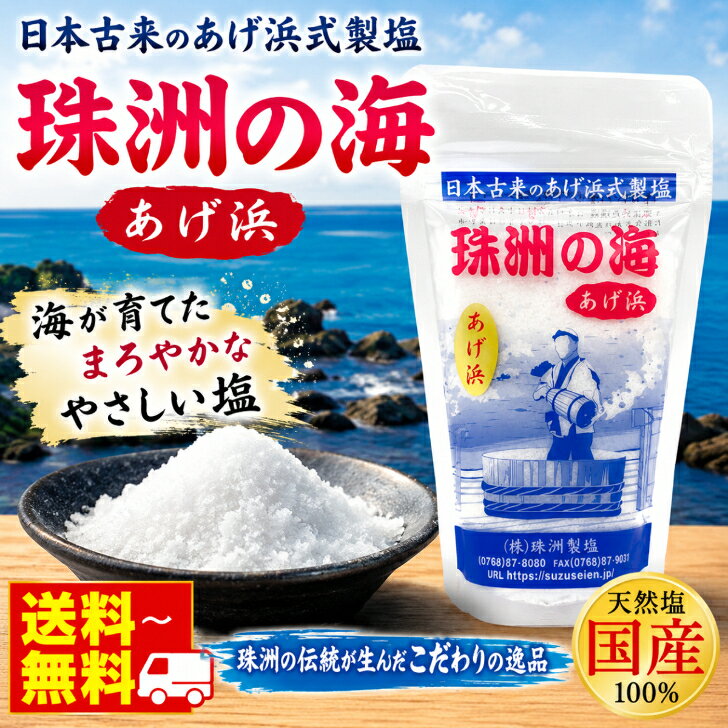 珠洲の塩 あげ浜 100g 天然塩 海塩 国産塩 能登 珠洲 揚げ浜式製塩 ミネラル塩 ミネラル豊富