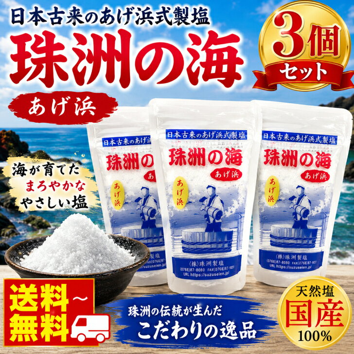 珠洲の塩 あげ浜 100g×3袋 天然塩 海塩 国産塩 能登 珠洲 揚げ浜式製塩 ミネラル塩 ミネラル豊富