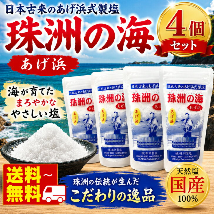 珠洲の塩 あげ浜 100g×4袋 天然塩 海塩 国産塩 能登 珠洲 揚げ浜式製塩 ミネラル塩 ミネラル豊富