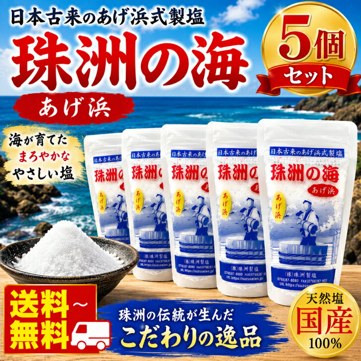 珠洲の塩 あげ浜 100g×5袋 天然塩 海塩 国産塩 能登 珠洲 揚げ浜式製塩 ミネラル塩 ミネラル豊富