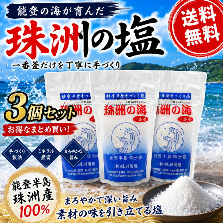 珠洲の塩 一番釜 100g×3袋 天然塩 海塩 国産塩 能登 珠洲 海水塩 ミネラル塩 ミネラル豊富
