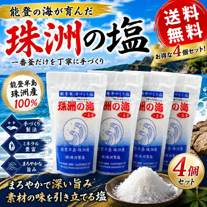 珠洲の塩 一番釜 100g×4袋 天然塩 海塩 国産塩 能登 珠洲 海水塩 ミネラル塩 ミネラル豊富