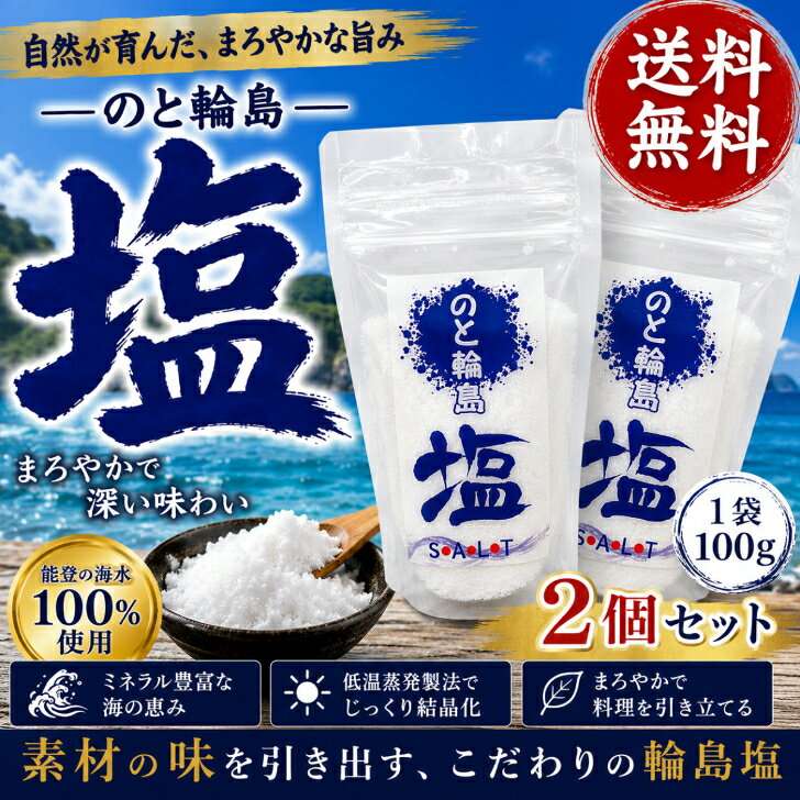 のと輪島塩　100g　2個セット　能登輪島塩　低温蒸発　SALT