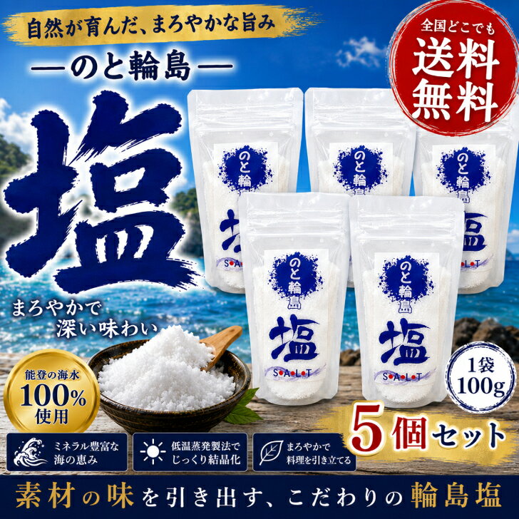 のと輪島塩　100g×5個セット　能登輪島塩　低温蒸発　SALT
