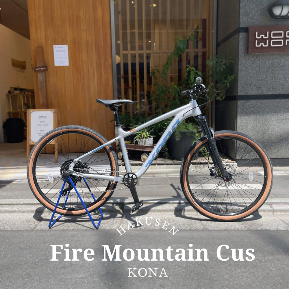 【30日限定クーポン配布】【街も悪路も走破できるWTBグラベルタイヤカスタム】FIRE MOUNTAIN(ファイヤ..