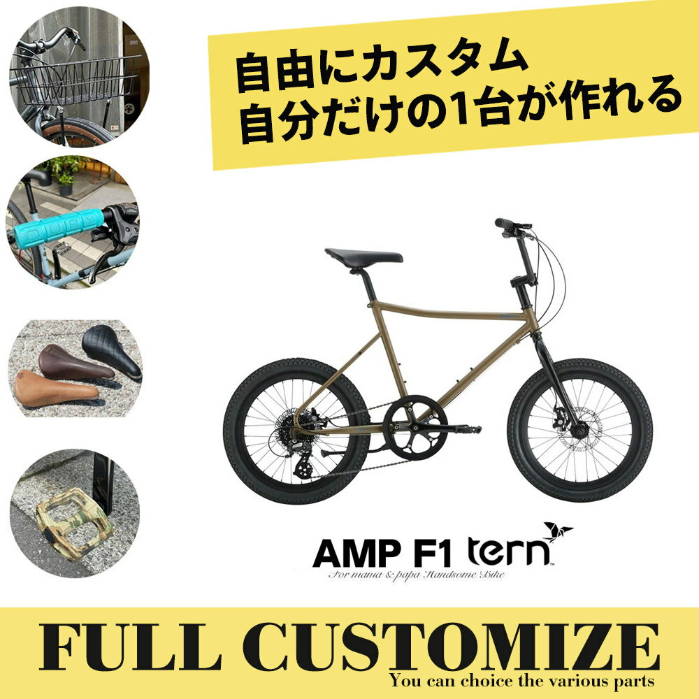 AMP F1 (アンプF1)TERN（ターン）小径車・ミニベロ