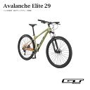 AVALANCHE ELITE29 V2（アバランチェエリート V2）GT29ER MTB マウンテンバイク【送料プランB】【関東/近畿は地方で送料異なる(注文後修正)】