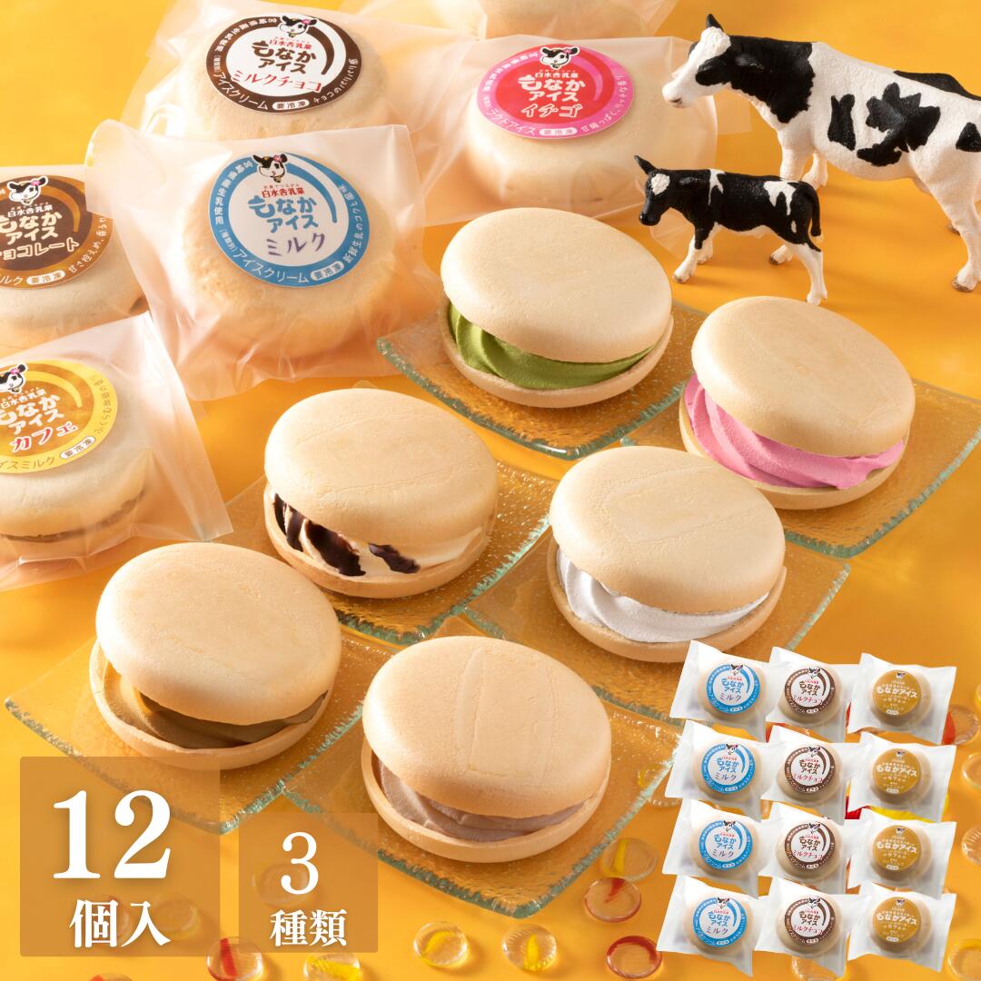 白水舎乳業 もなかアイスセット3種類入り ミルク4個&ミルクチョコ4個&カフェ4個 計12個入り 宮崎県産生乳使用 宮崎県ご当地アイス