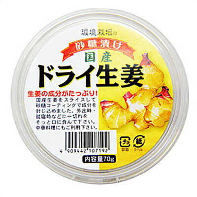 国産ドライ生姜 10個セット【信州自然王国】0719