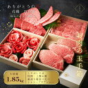 母の日 焼肉セット (しゃぶしゃぶ 厳選赤身4種 シャトーブリアン) 約6〜7人前 国産牛 牛タン タレ付き 内祝い 誕生日 バーベキュー ご挨拶 新生活 入学...