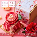 母の日【出産祝い】お肉のプチケーキセット(国産バラ,ロース,薄切りカルビ,上撰赤身ステーキ,トントロ) 約1〜2人前 タレ付き 肉 肉ケーキ お祝い プレゼント...