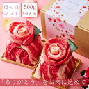 母の日 【結婚祝い】お肉のプチケーキセット(国産バラ,ロース,薄切りカルビ,上撰赤身ステーキ,トントロ) 約2〜3人前 タレ付き 肉 肉ケーキ お祝い プレゼン...