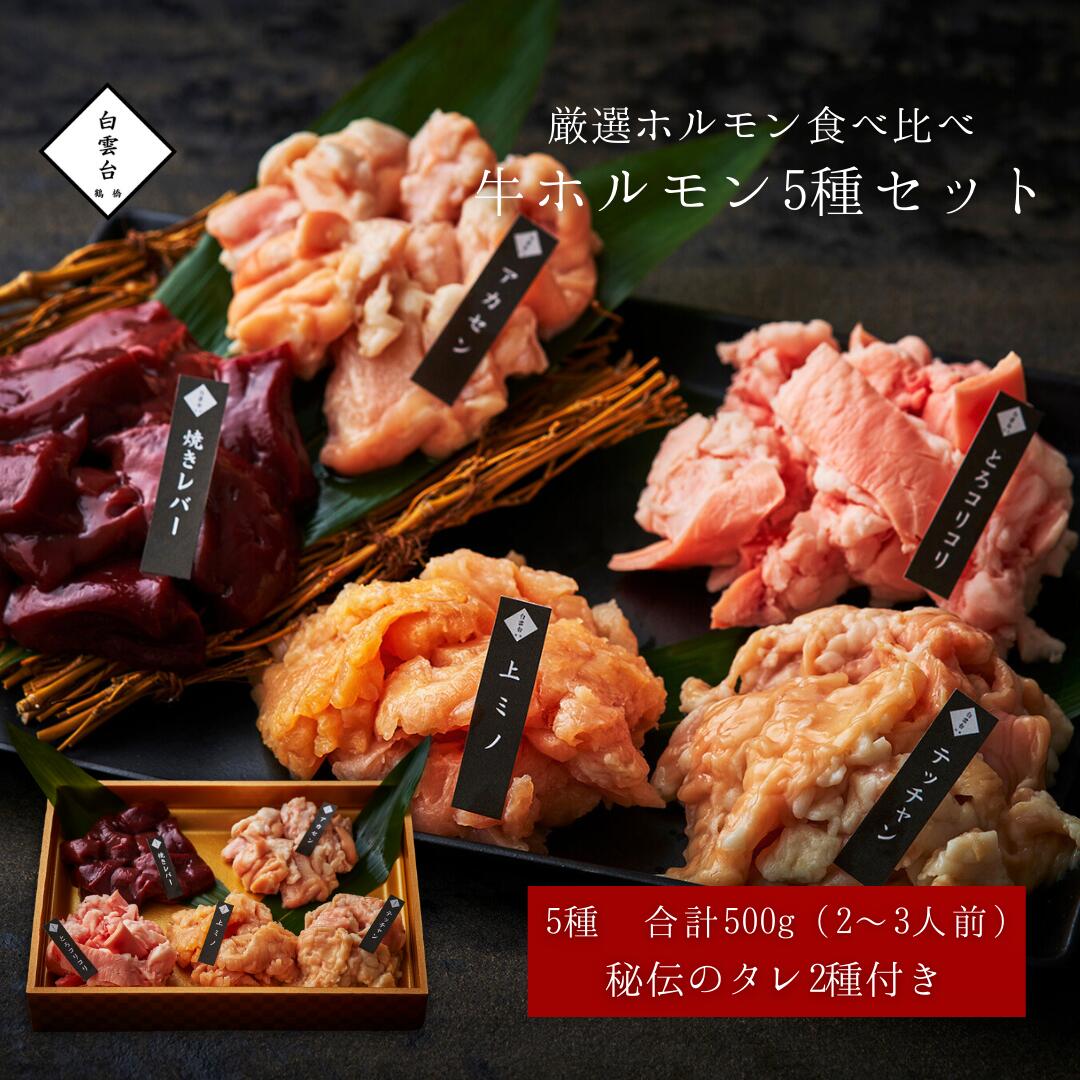 ホルモン ほるもん 5種 500g タレ付き 母の日 焼肉 牛肉 牛タン ギフト お祝い グルメ 結婚祝い 出産祝い 快気祝い 肉 誕生日 肉ギフト 焼肉セット バーベキュー 大阪 鶴橋 焼肉白雲台