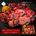 肉セット プチ贅沢セット 320g タレ付き 母の日 焼肉 贈答用 牛肉 ギフト 牛タン お祝い 結婚祝い 肉 焼肉セット バーベキュー 大阪 鶴橋 白雲台